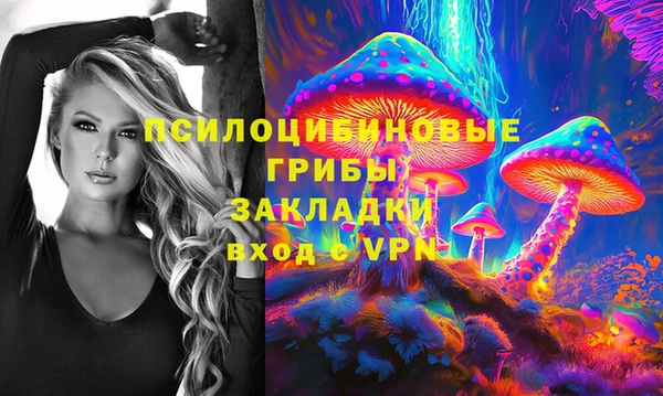 стафф Михайловск
