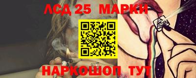 прущие грибы Ирбит