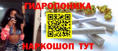 прущие грибы Ирбит