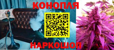 прущие грибы Ирбит