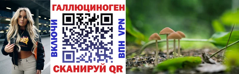 Галлюциногенные грибы Cubensis  Моздок 