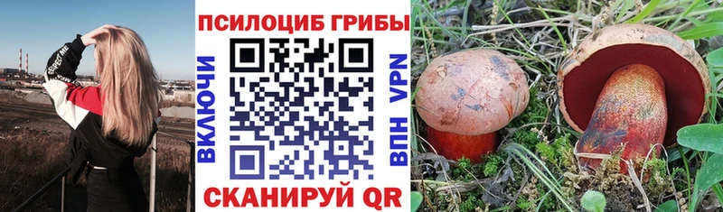 Псилоцибиновые грибы GOLDEN TEACHER Моздок
