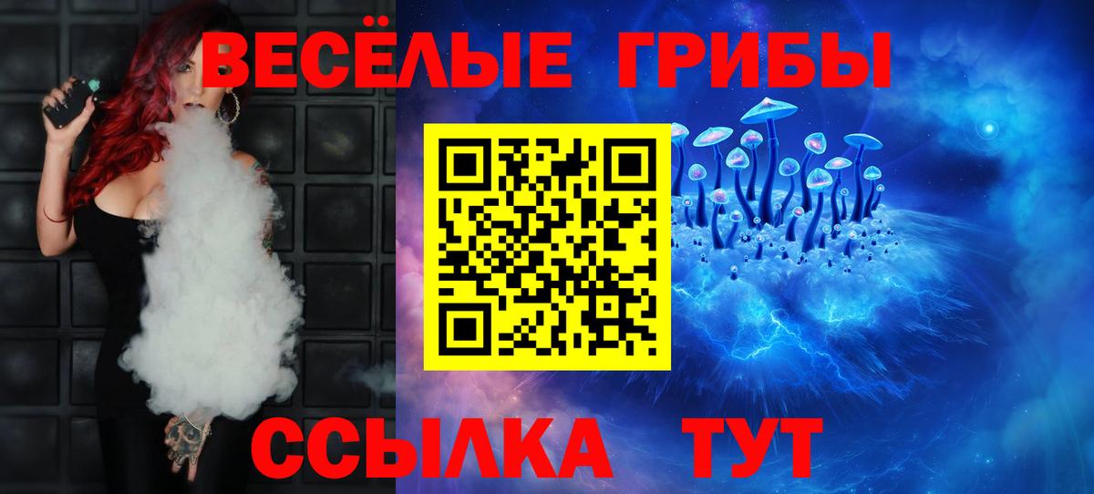 Моздок  Галлюциногенные грибы Cubensis  закладки  Вход с VPN 