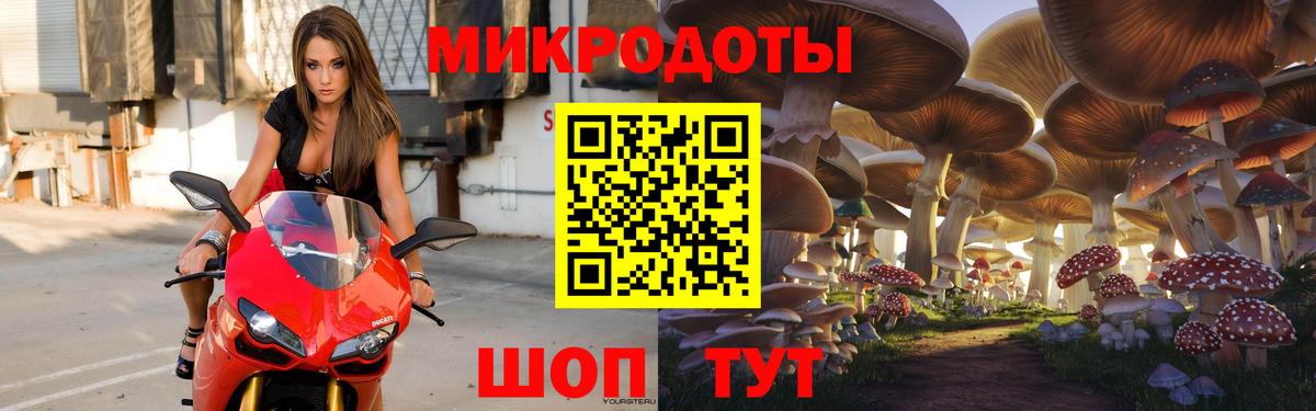 Псилоцибиновые грибы прущие грибы  Моздок 